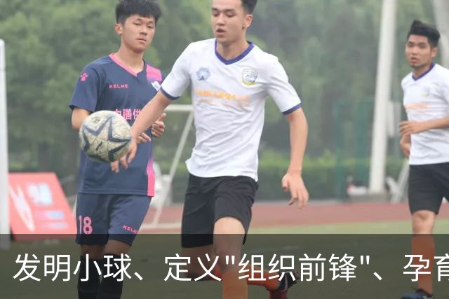 发明小球、定义"组织前锋"、孕育勇士王朝：唐·尼尔森，再见了，千胜教头