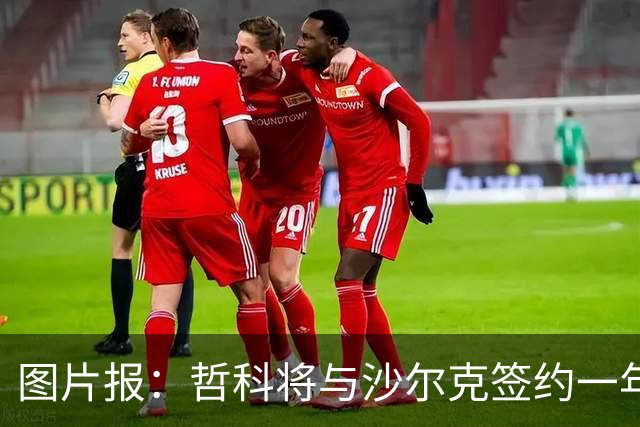 图片报：哲科将与沙尔克签约一年，年薪130万欧元