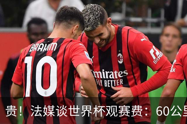 贵！法媒谈世界杯观赛费：60公里火车98美元，有人4天花4500欧元