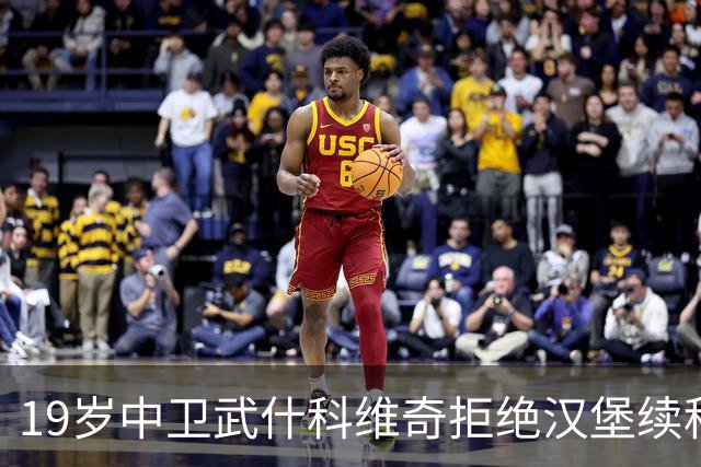 19岁中卫武什科维奇拒绝汉堡续租，热刺续约或转会欧洲豪门